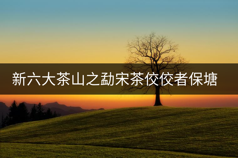 新六大茶山之勐宋茶佼佼者保塘古樹茶 新六大茶山之勐宋茶佼佼者保塘古樹茶