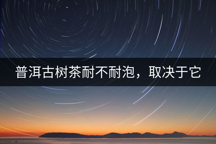 普洱古樹茶耐不耐泡，取決于它