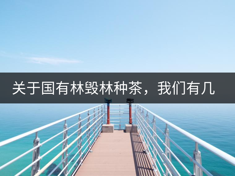 關(guān)于國(guó)有林毀林種茶，我們有幾點(diǎn)不得不說(shuō)