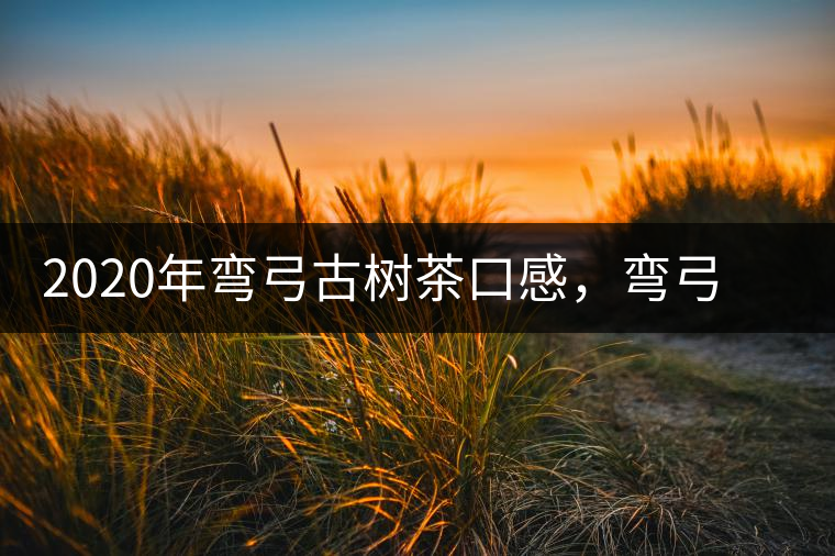 2020年彎弓古樹茶口感，彎弓普洱茶價格特點(diǎn)