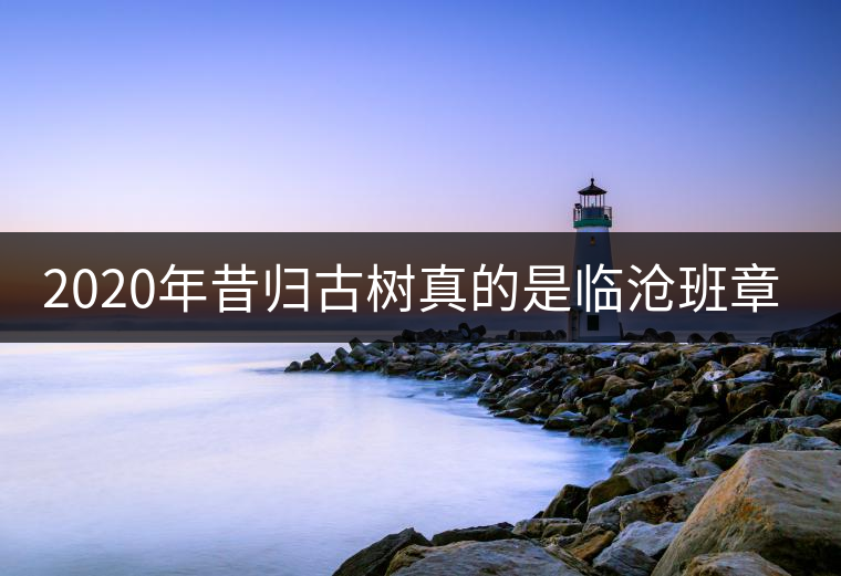 2020年昔歸古樹真的是臨滄班章嗎？