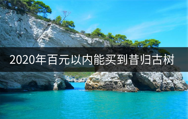 2020年百元以內(nèi)能買到昔歸古樹嗎？