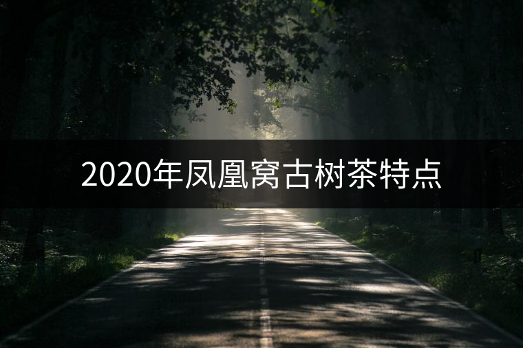 2020年鳳凰窩古樹茶特點