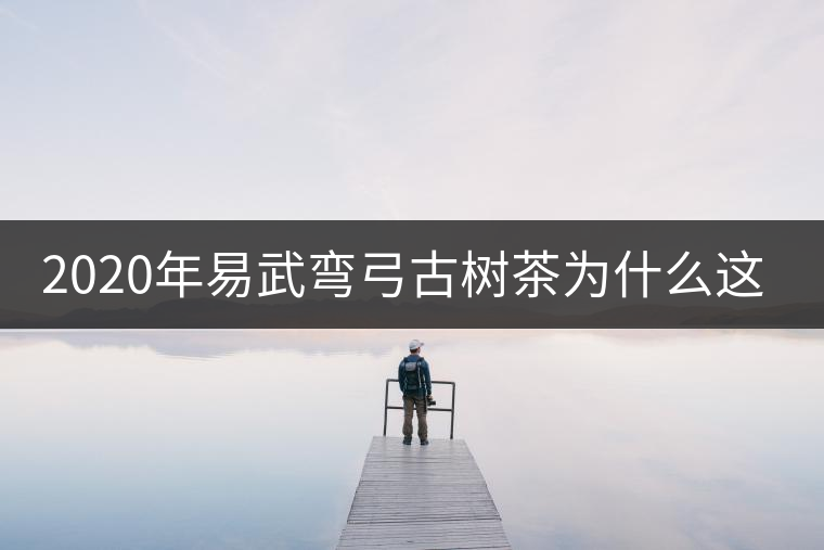 2020年易武彎弓古樹(shù)茶為什么這么貴？