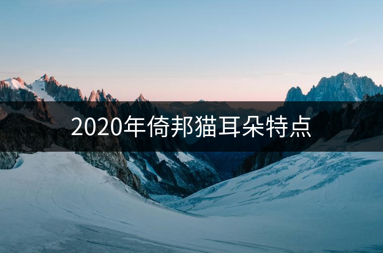 2020年倚邦貓耳朵特點(diǎn) 2020年倚邦貓耳朵特點(diǎn)