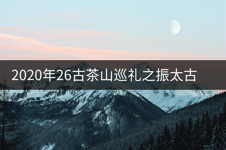 2020年26古茶山巡禮之振太古茶山介紹 2020年26古茶山巡禮之振太古茶山介紹