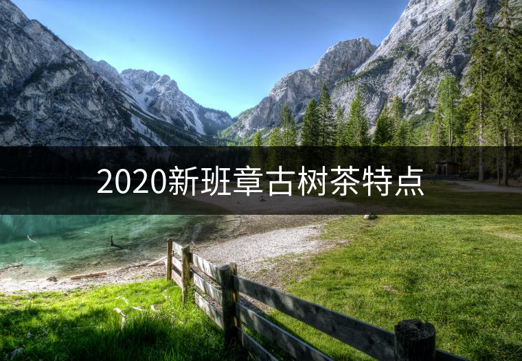 2020新班章古樹(shù)茶特點(diǎn)