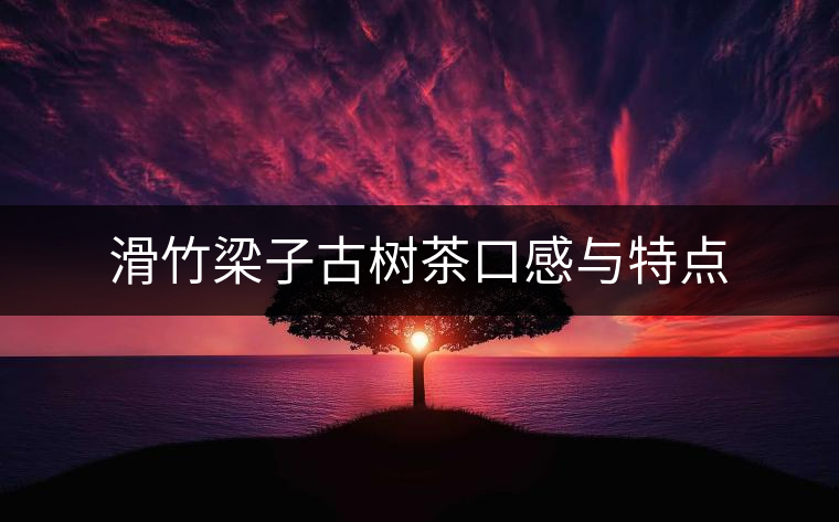 滑竹梁子古樹茶口感與特點(diǎn)