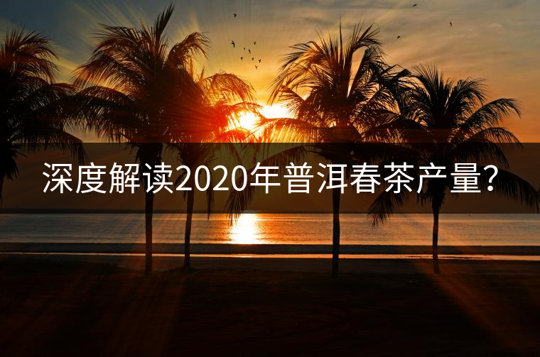 深度解讀2020年普洱春茶產(chǎn)量？