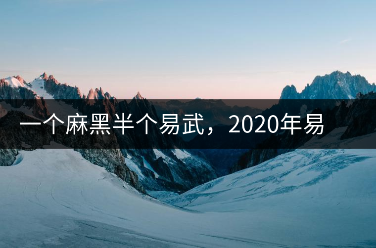 一個麻黑半個易武，2020年易武麻黑古樹春茶介紹