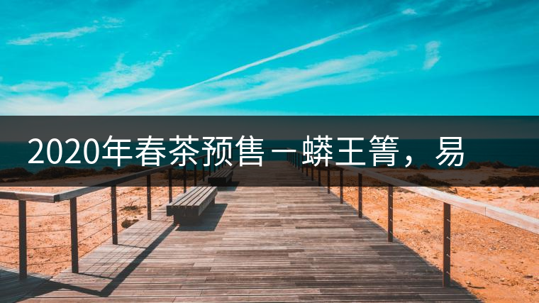 2020年春茶預(yù)售－蟒王箐，易武一個(gè)蟒蛇出沒的地方