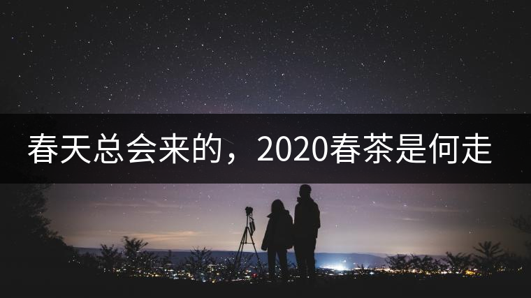 春天總會來的，2020春茶是何走勢？