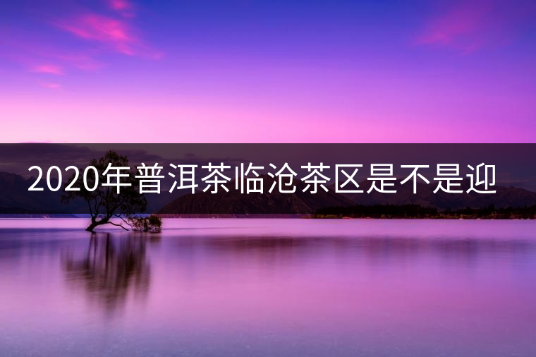 2020年普洱茶臨滄茶區(qū)是不是迎來最好機遇? 2020年普洱茶臨滄茶區(qū)是不是迎來最好機遇?