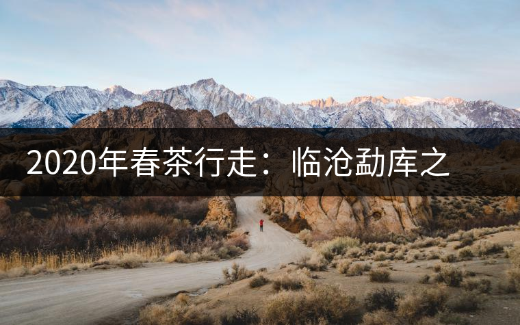 2020年春茶行走：臨滄勐庫之美，不只是冰島普洱茶香