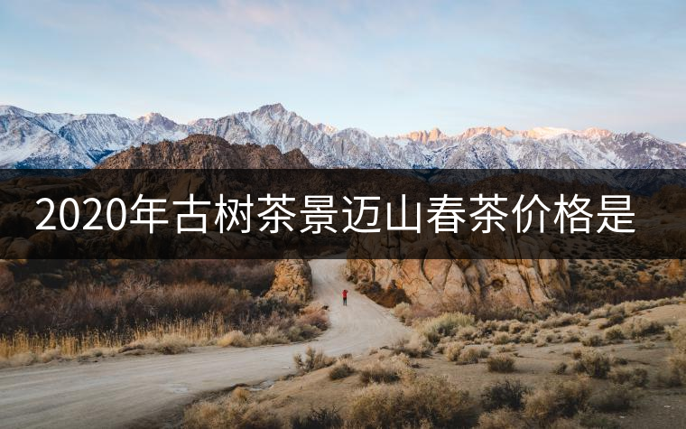 2020年古樹茶景邁山春茶價(jià)格是多少？