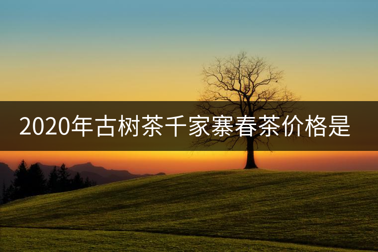 2020年古樹(shù)茶千家寨春茶價(jià)格是多少？