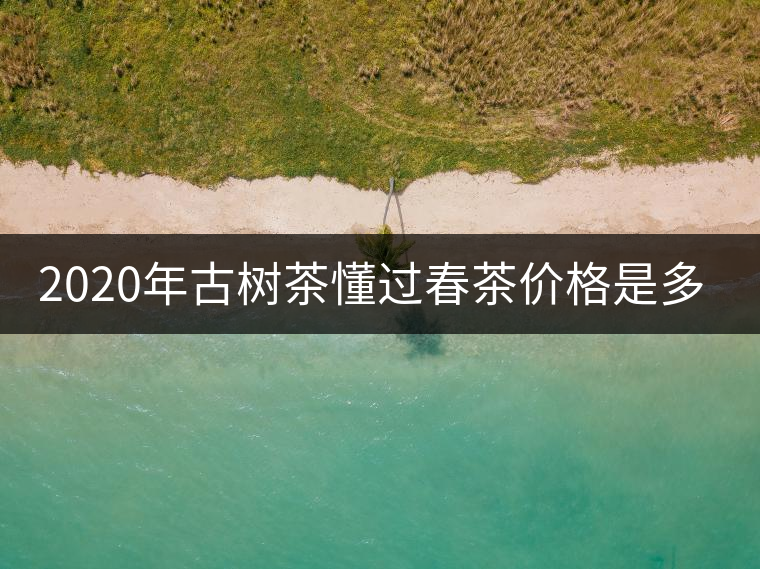 2020年古樹(shù)茶懂過(guò)春茶價(jià)格是多少？