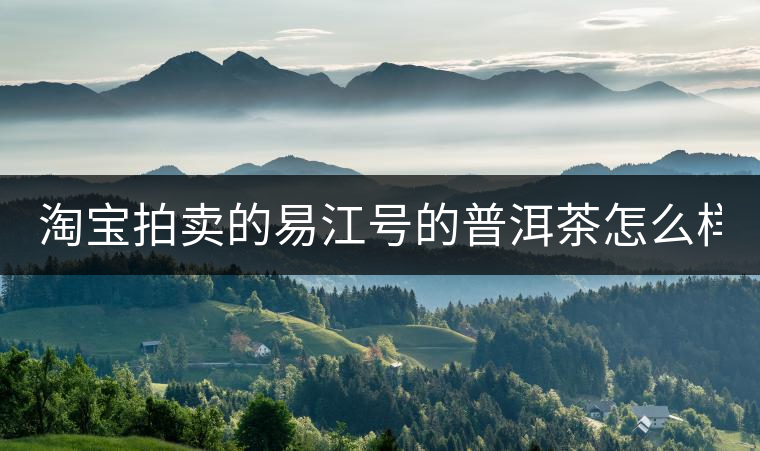 淘寶拍賣的易江號的普洱茶怎么樣？