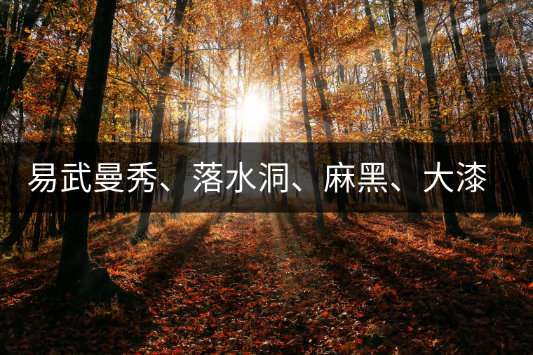 易武曼秀、落水洞、麻黑、大漆樹等你更喜歡哪個茶？