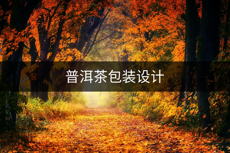 普洱茶包裝設(shè)計(jì)