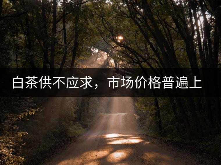 白茶供不應(yīng)求，市場價格普遍上漲？