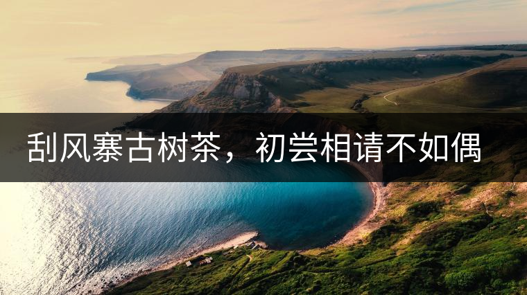 刮風(fēng)寨古樹茶，初嘗相請(qǐng)不如偶遇