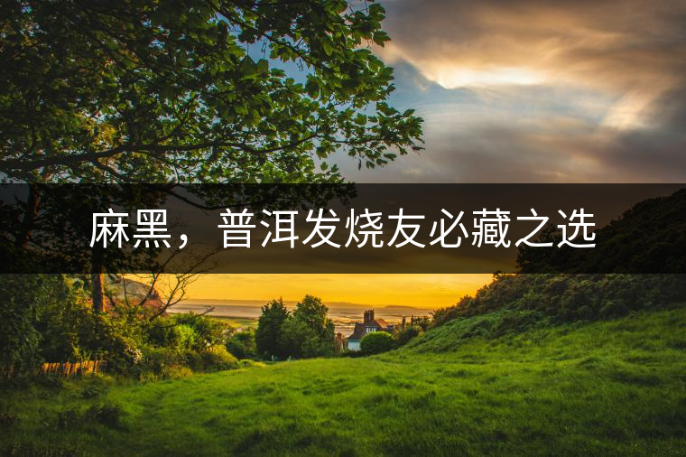 麻黑，普洱發(fā)燒友必藏之選