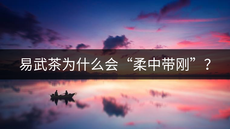 易武茶為什么會“柔中帶剛”？