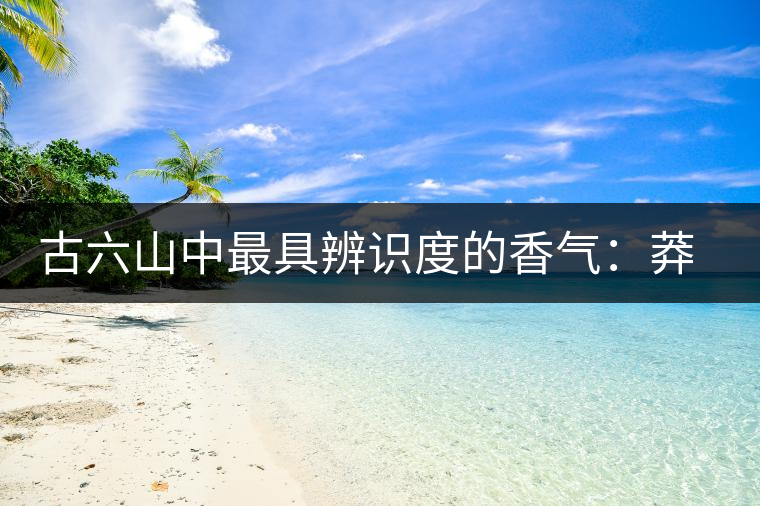 古六山中最具辨識(shí)度的香氣：莽枝