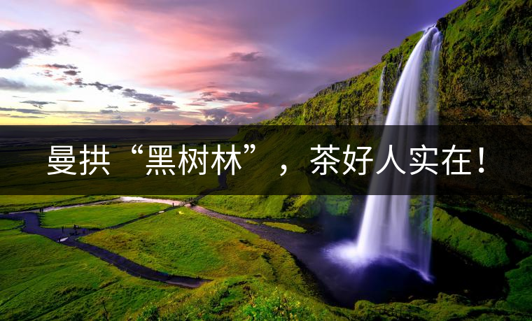 曼拱“黑樹林”，茶好人實在！