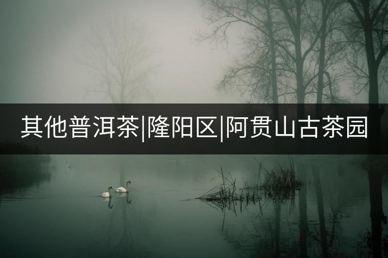 其他普洱茶|隆陽區(qū)|阿貫山古茶園