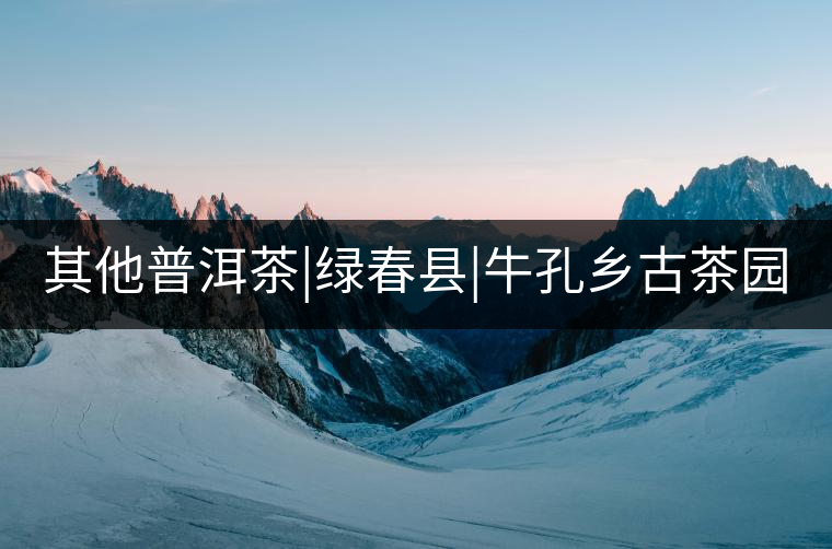 其他普洱茶|綠春縣|?？奏l(xiāng)古茶園