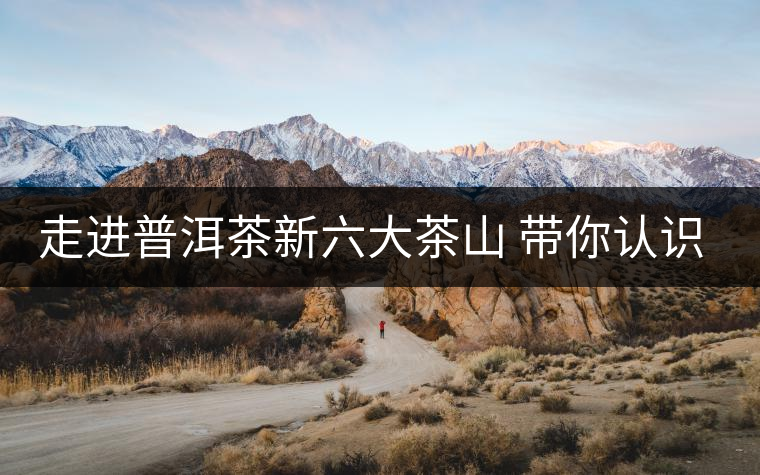 走進(jìn)普洱茶新六大茶山 帶你認(rèn)識景邁山