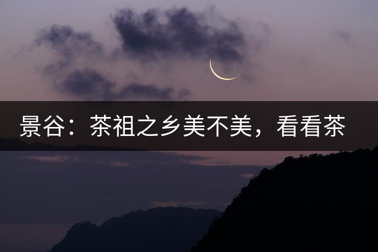 景谷：茶祖之鄉(xiāng)美不美，看看茶山和美人