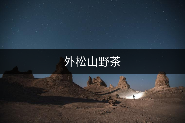 外松山野茶