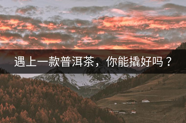 遇上一款普洱茶，你能撬好嗎 ？