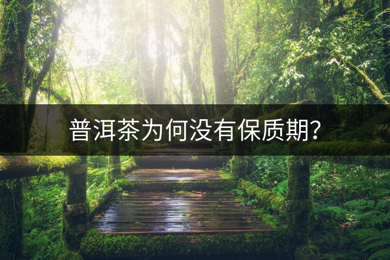 普洱茶為何沒有保質(zhì)期？