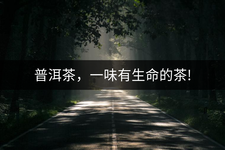 普洱茶，一味有生命的茶!