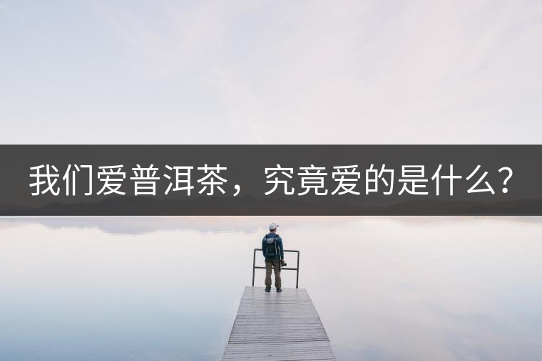 我們愛(ài)普洱茶，究竟愛(ài)的是什么？