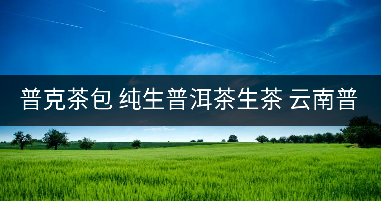 普克茶包 純生普洱茶生茶 云南普洱茶葉袋泡茶小沱茶50g