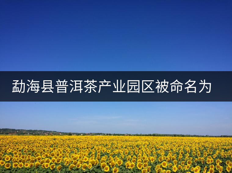 勐?？h普洱茶產(chǎn)業(yè)園區(qū)被命名為 