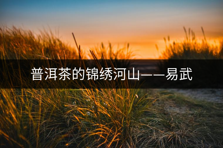 普洱茶的錦繡河山——易武