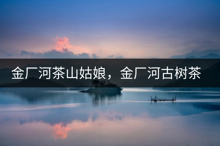 金廠河茶山姑娘，金廠河古樹茶特點(diǎn)與價(jià)格
