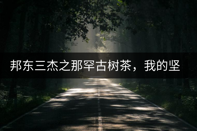 邦東三杰之那罕古樹茶，我的堅(jiān)持