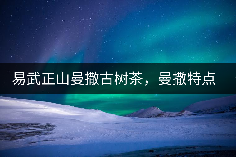 易武正山曼撒古樹(shù)茶，曼撒特點(diǎn)分享介紹