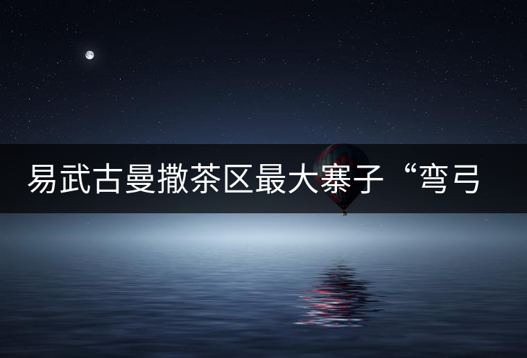 易武古曼撒茶區(qū)最大寨子“彎弓”丁家寨茶山實(shí)錄