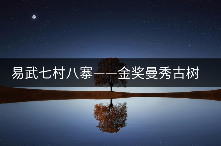 易武七村八寨——金獎(jiǎng)曼秀古樹(shù)茶