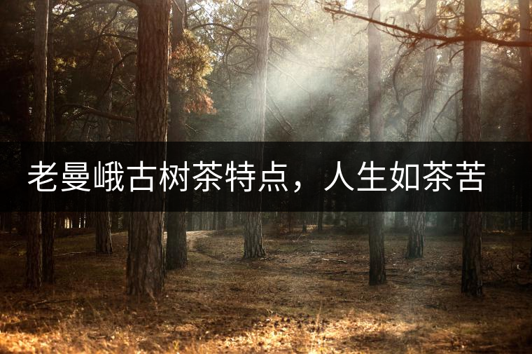 老曼峨古樹(shù)茶特點(diǎn)，人生如茶苦盡甘來(lái)