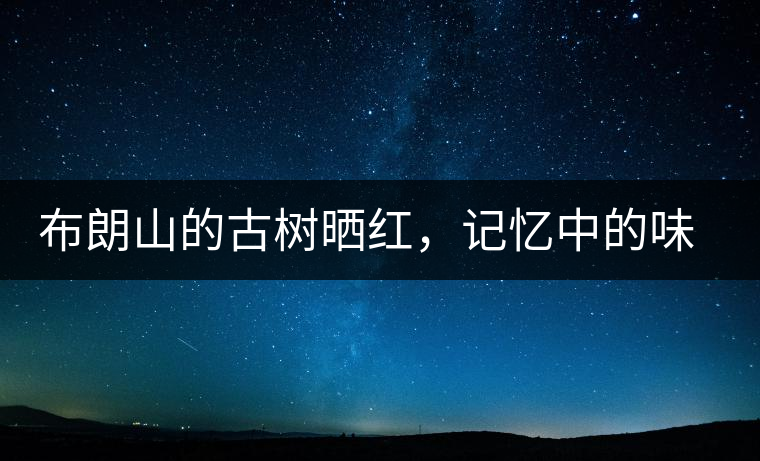 布朗山的古樹曬紅，記憶中的味道