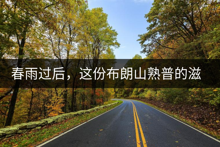 春雨過(guò)后，這份布朗山熟普的滋味正當(dāng)時(shí)